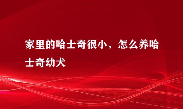 家里的哈士奇很小，怎么养哈士奇幼犬