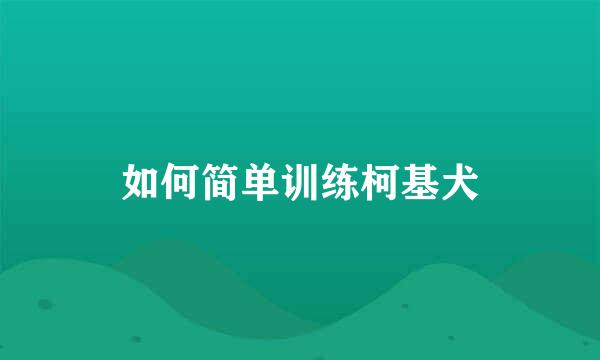 如何简单训练柯基犬