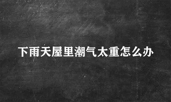 下雨天屋里潮气太重怎么办