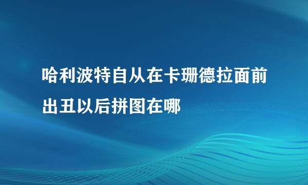 哈利波特自从在卡珊德拉面前出丑以后拼图在哪
