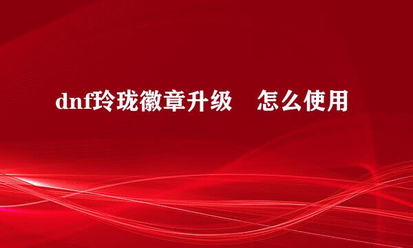 dnf玲珑徽章升级劵怎么使用
