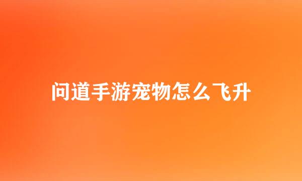 问道手游宠物怎么飞升