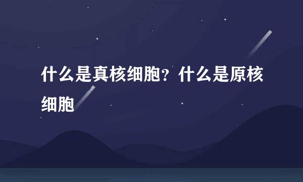 什么是真核细胞？什么是原核细胞