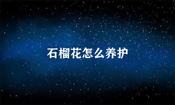 石榴花怎么养护