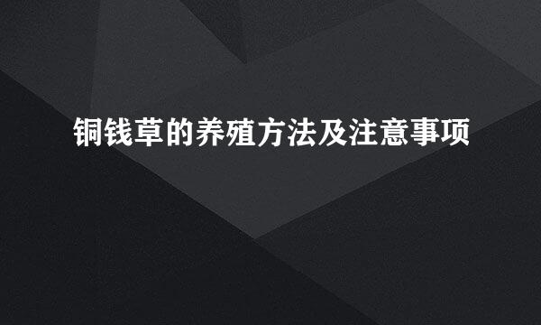 铜钱草的养殖方法及注意事项