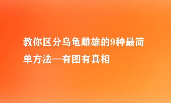 教你区分乌龟雌雄的9种最简单方法—有图有真相