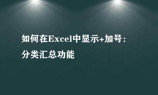 如何在Excel中显示+加号：分类汇总功能