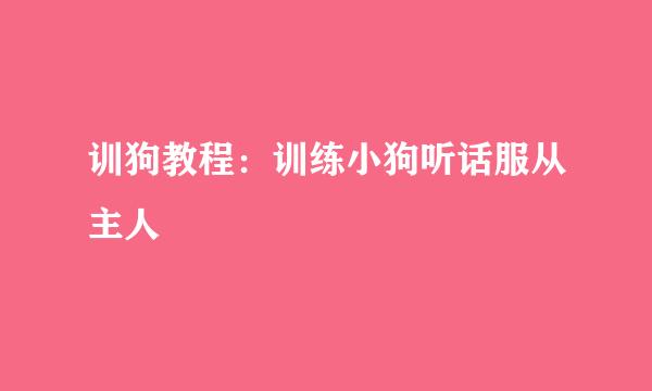 训狗教程：训练小狗听话服从主人