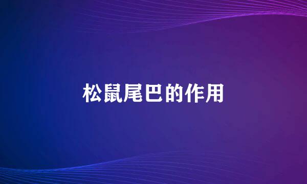 松鼠尾巴的作用