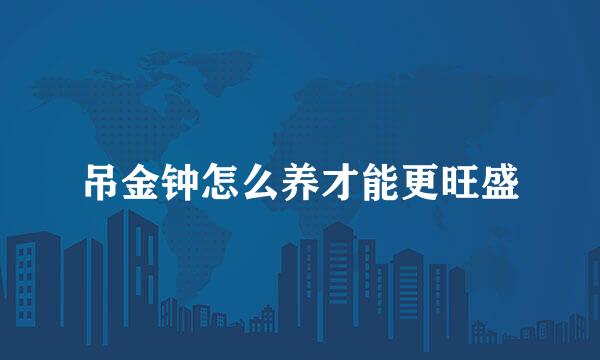 吊金钟怎么养才能更旺盛