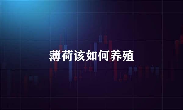 薄荷该如何养殖