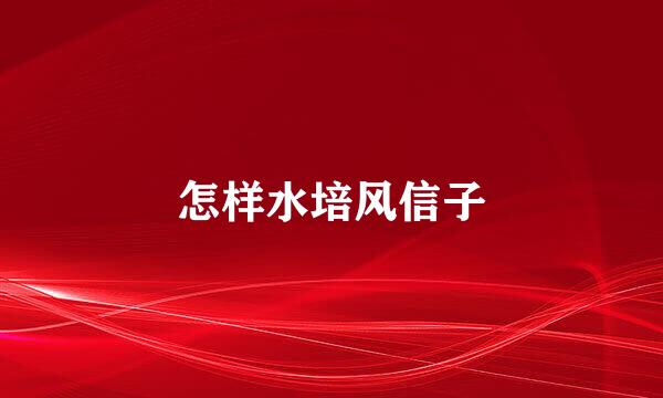 怎样水培风信子