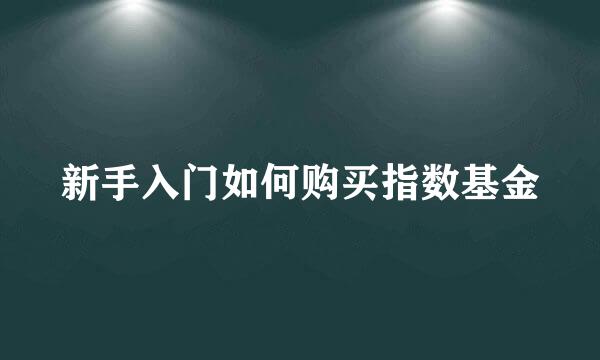新手入门如何购买指数基金