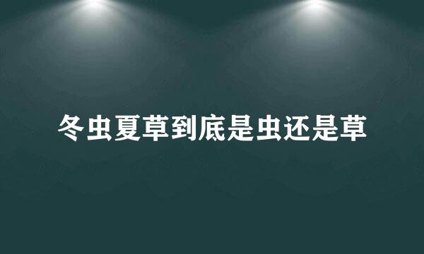 冬虫夏草到底是虫还是草