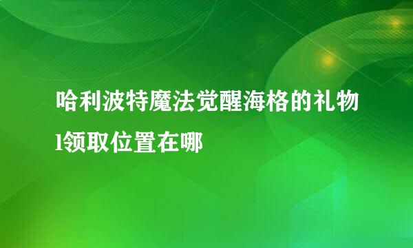 哈利波特魔法觉醒海格的礼物l领取位置在哪