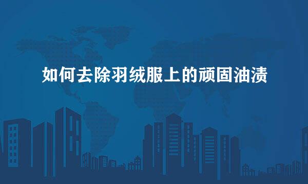 如何去除羽绒服上的顽固油渍