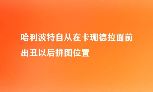 哈利波特自从在卡珊德拉面前出丑以后拼图位置