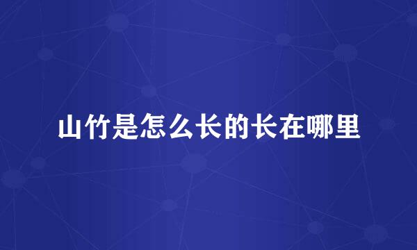 山竹是怎么长的长在哪里