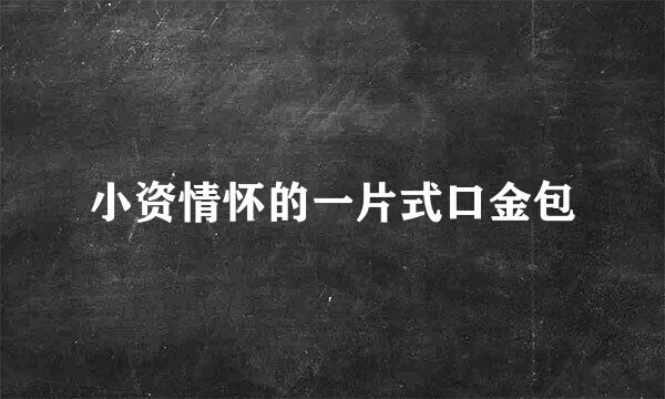 小资情怀的一片式口金包