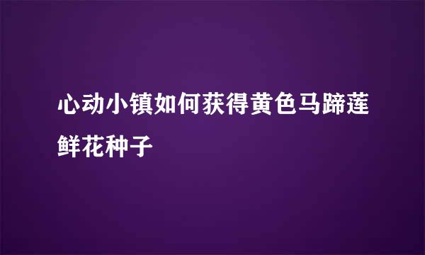 心动小镇如何获得黄色马蹄莲鲜花种子