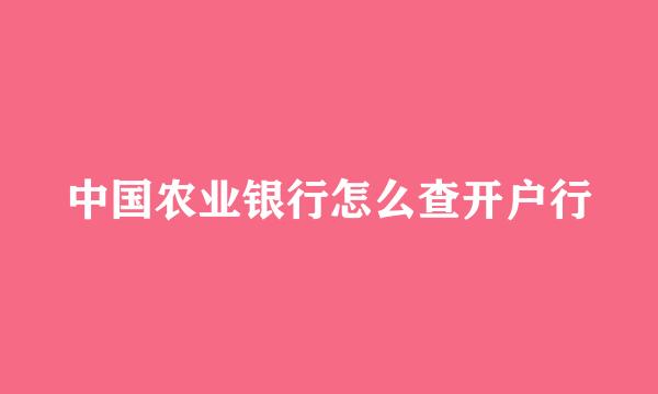 中国农业银行怎么查开户行