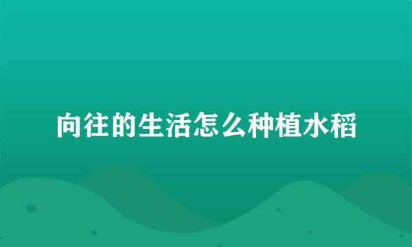 向往的生活怎么种植水稻