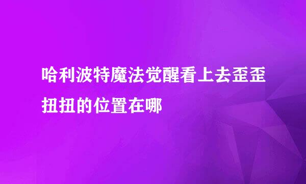 哈利波特魔法觉醒看上去歪歪扭扭的位置在哪
