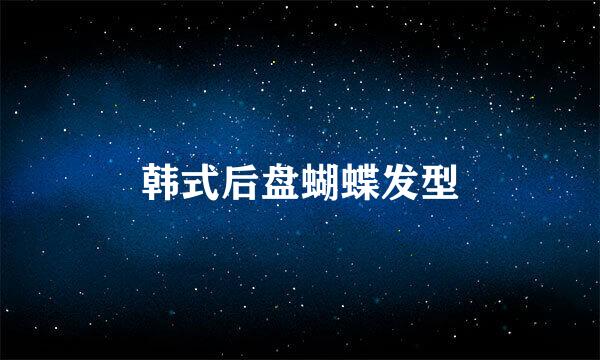 韩式后盘蝴蝶发型