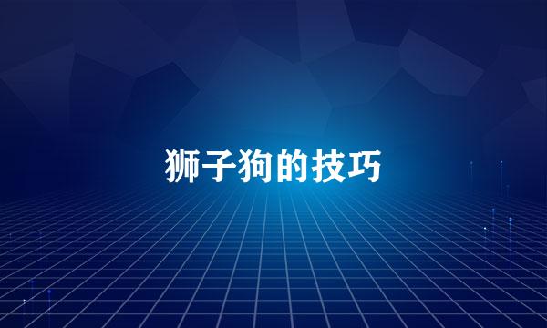 狮子狗的技巧