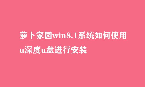萝卜家园win8.1系统如何使用u深度u盘进行安装
