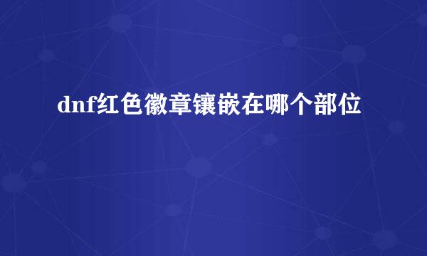 dnf红色徽章镶嵌在哪个部位