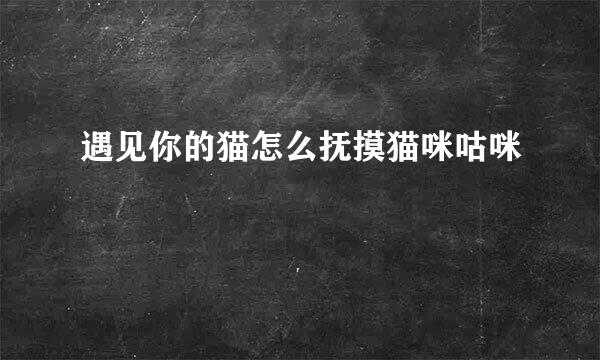 遇见你的猫怎么抚摸猫咪咕咪