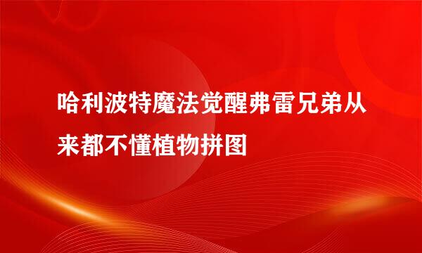 哈利波特魔法觉醒弗雷兄弟从来都不懂植物拼图