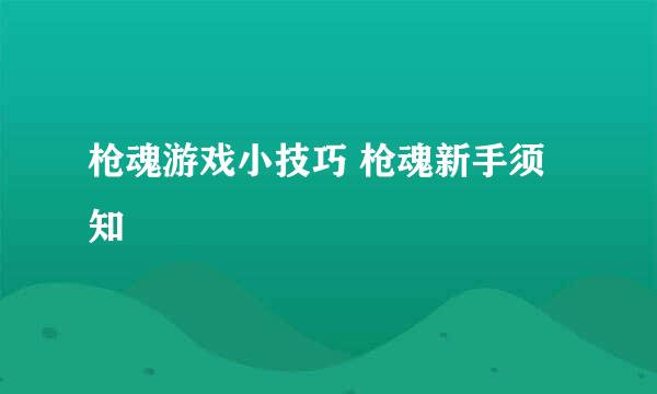 枪魂游戏小技巧 枪魂新手须知