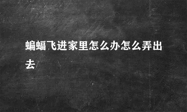 蝙蝠飞进家里怎么办怎么弄出去