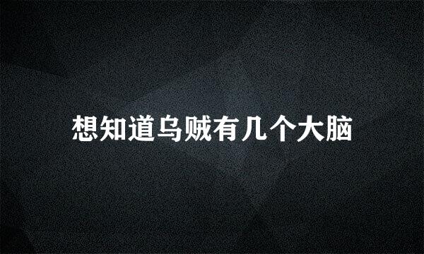 想知道乌贼有几个大脑