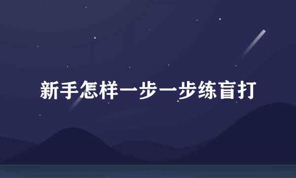 新手怎样一步一步练盲打