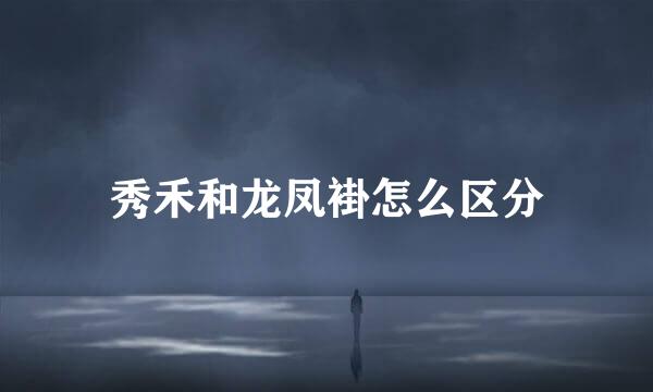 秀禾和龙凤褂怎么区分