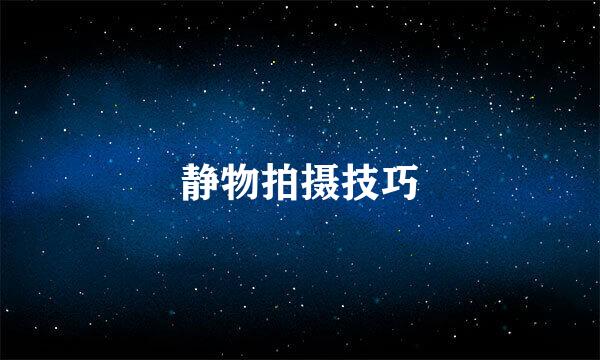 静物拍摄技巧