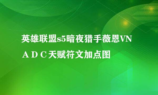 英雄联盟s5暗夜猎手薇恩VNＡＤＣ天赋符文加点图