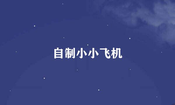 自制小小飞机