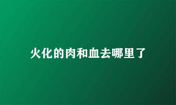 火化的肉和血去哪里了