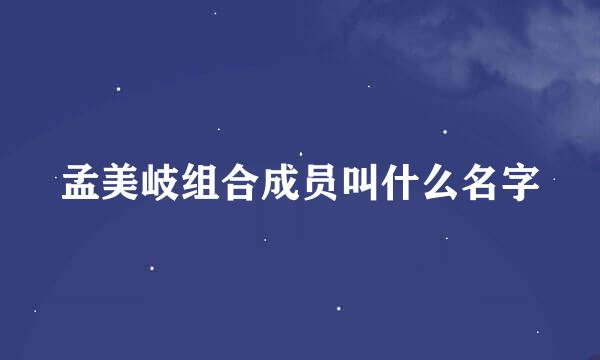 孟美岐组合成员叫什么名字