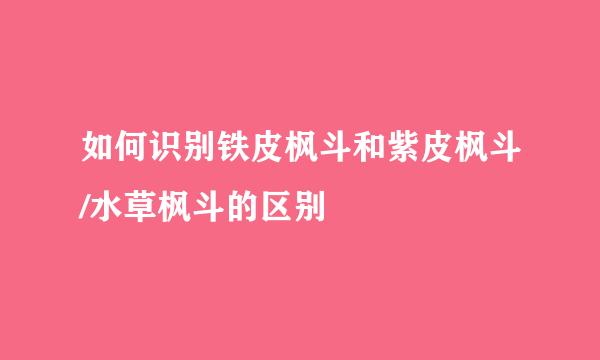 如何识别铁皮枫斗和紫皮枫斗/水草枫斗的区别