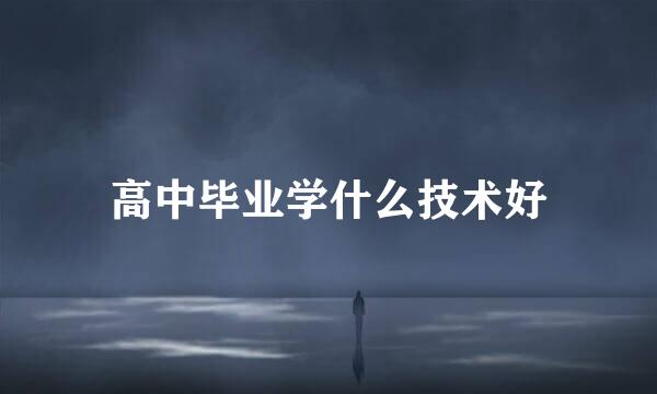 高中毕业学什么技术好