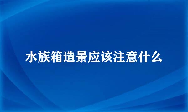 水族箱造景应该注意什么