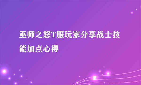 巫师之怒T服玩家分享战士技能加点心得