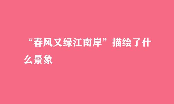 “春风又绿江南岸”描绘了什么景象