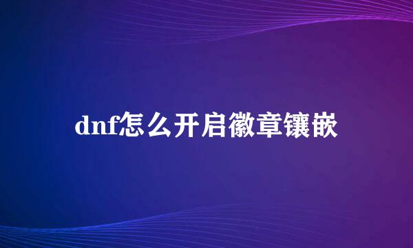 dnf怎么开启徽章镶嵌