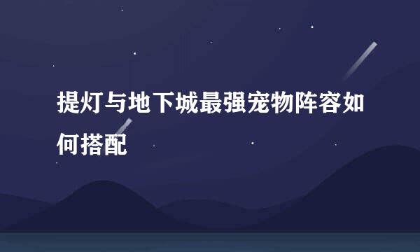 提灯与地下城最强宠物阵容如何搭配